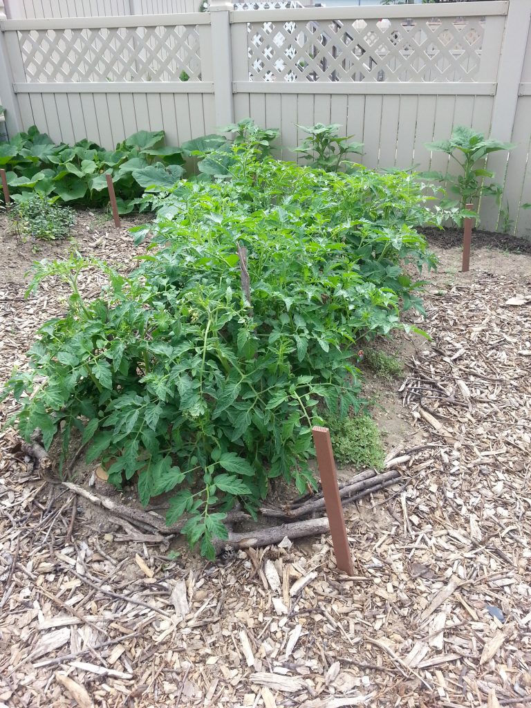 20140625_085851 - Mosaic Community Land Trust